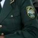 In the first half of 2025, customs duties increased