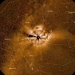 PUNCH mission captured detailed images of the Sun