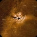 PUNCH mission captured detailed images of the Sun
