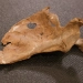 The hole in the Neanderthal found in Shanidar Cave indicated that the cause of death was external trauma.