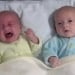 The number of twin babies has increased in Uzbekistan