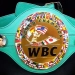В обновленном рейтинге WBC зафиксировано одиннадцать боксеров из Узбекистана