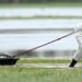 Bird flu is spreading early and rapidly in Europe