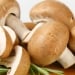 They will make you happy, "fix" digestion: the most beneficial mushrooms