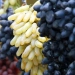 Uzbekistan became the leader in grape exports to Russia