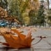 В выходные в некоторых районах пойдет дождь