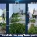 Перед вами были найдены незаконные наркотические растения