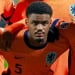 Chelsea Yorrell buys Hatton for 43 million euros