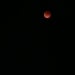 A total lunar eclipse was observed in Uzbekistan