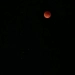 A total lunar eclipse was observed in Uzbekistan