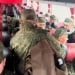 A "Dobrokor" mercenary corps has been established in Russia