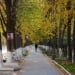 Ertaga O‘zbekistonda ob-havo barqaror va quyoshli bo‘ladi