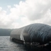 SpaceX okeanga qo'ngan Starship kemasini quruqlikka muvaffaqiyatli qaytardi