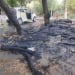 A fire broke out in Chilonzor, the fire was quickly extinguished