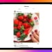 Instagram endi Apple planshetlari uchun ilova chiqardi