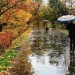 In September, rain and wind increase, temperature decreases