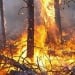 В Испании августовские пожары нанесли большой ущерб