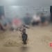 В Шахрисабзе была организована незаконная петушиная битва