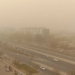 Strong Winds and Dust Storms Expected in Several Regions of Uzbekistan