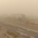Strong Winds and Dust Storms Expected in Several Regions of Uzbekistan