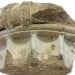 Ancient column fragment returned to Greece