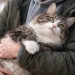 Man wins court case after being fired because of his cat
