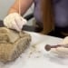 An ancient mammoth tooth was found in Nizhny Novgorod