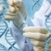 Japanese scientists have discovered gene therapy for obesity and diabetes