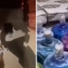 Iroq neft vaziri o'rinbosarining uyidan katta miqdorda oltin va pul topildi