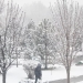 December 22: Snow, fog, and freezing expected