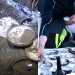 A unique ship from the 18th century was found in Norwegian waters