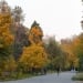 On October 15, the weather in Uzbekistan will be sunny