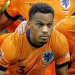 Timber praised the Netherlands national team