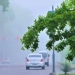 Toshkentda 27-may kuni chang-to'zon va yomg'ir bo'lishi kutilmoqda