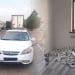 Illegal tobacco smuggling uncovered in Tashkent