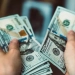 The dollar and euro have risen in value again in Uzbekistan