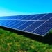 An agro-photovoltaic project will be launched in Tashkent