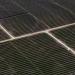 Texas and California led in clean energy