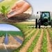 The procedure for the use of agricultural lands has been updated