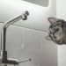 Temporary Interruption of Cold Water Supply in Tashkent