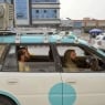 Kandahar taxis have created a simple cooling system
