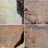 Nefud sahrosida 12 ming yillik qoyatosh san’ati topildi