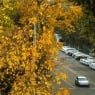20-oktyabrda O‘zbekistonda ob-havo salqin va quruq bo‘ladi