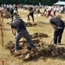 Championship in grave digging was held in Hungary