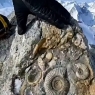 Everest cho'qqisi bir vaqtlar okean tubida bo'lgani aniqlandi