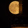 Bugun O‘zbekistonda to‘liq Oy tutilishi kuzatiladi