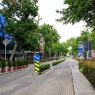 President visits new gastronomic tourism street in Tashkent