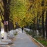 Завтра в Узбекистане погода будет стабильной и солнечной