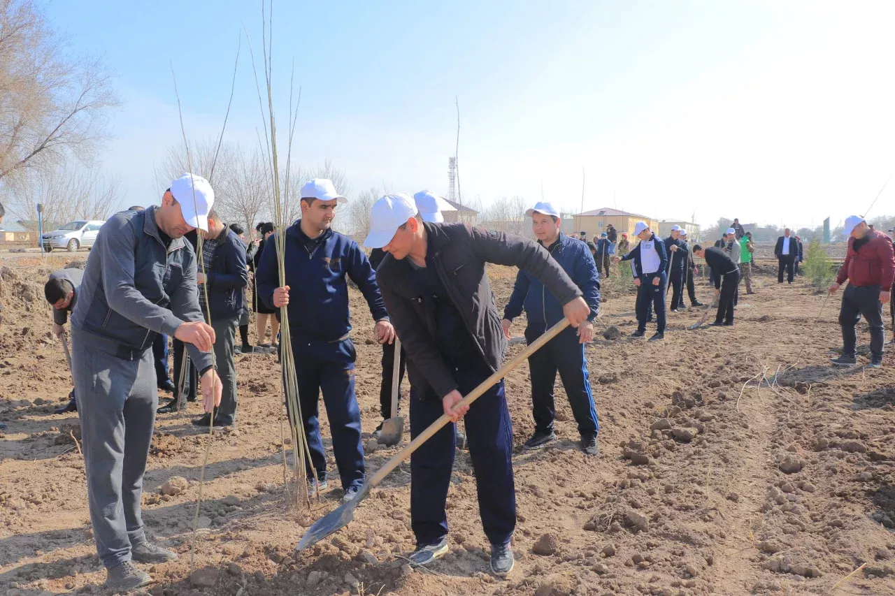 2025 yil bahor mavsumida 300 mingta daraxt ko‘chatlari ekiladi