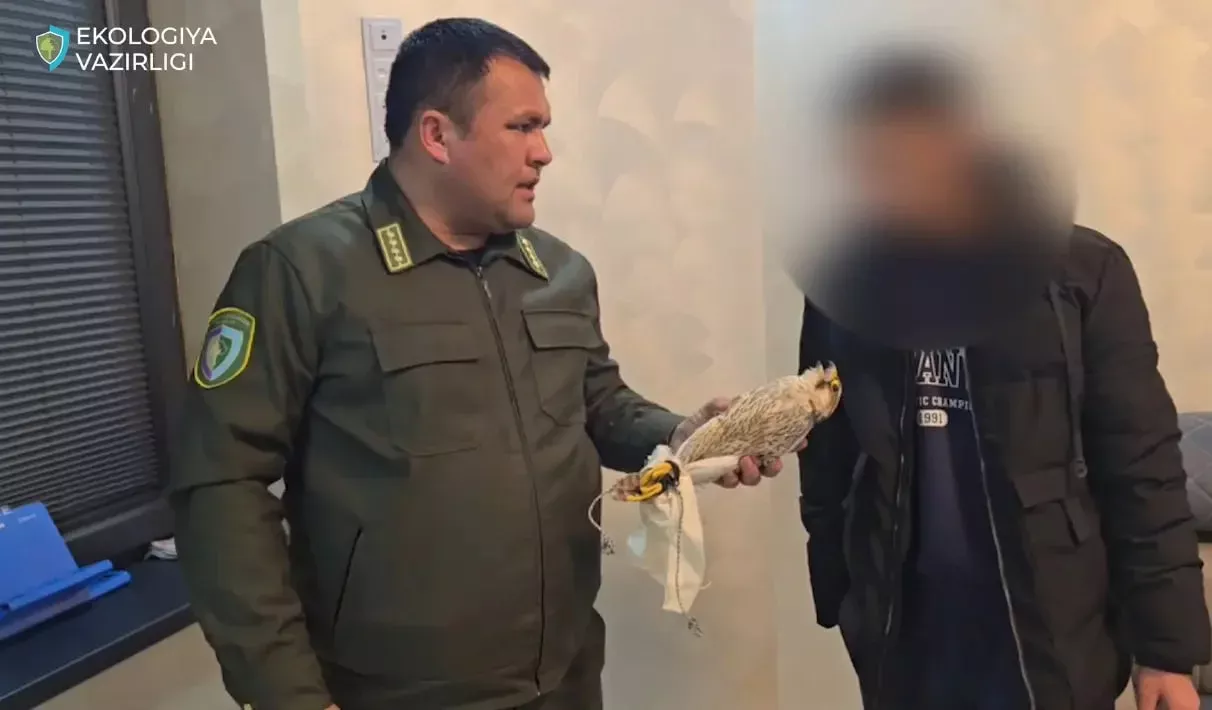 A citizen who illegally kept a rare bird in Fergana was detained